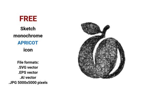 FREE Sketch Apricot Icon — Fresh, Flexible & Free